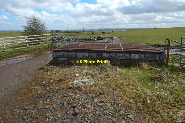 Photo 6"x4" Farm track Barrhead c2016