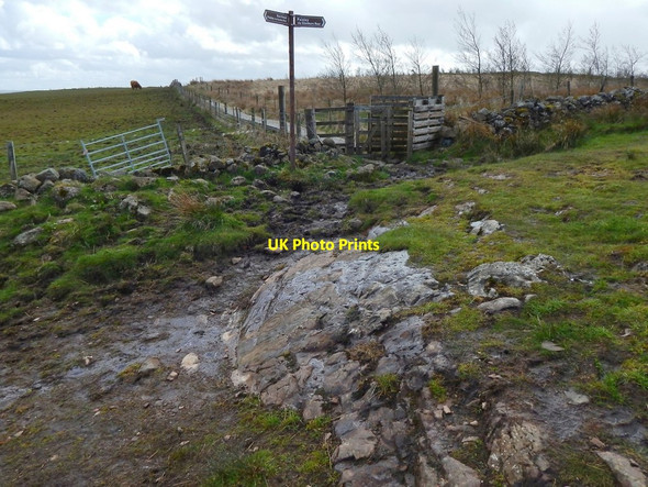 Photo 6"x4" Junction of paths Barrhead c2016