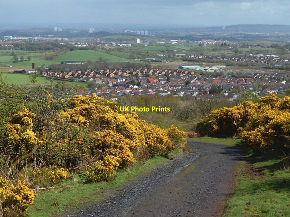 Photo 6"x4" Path on Brownside Braes Barrhead c2016