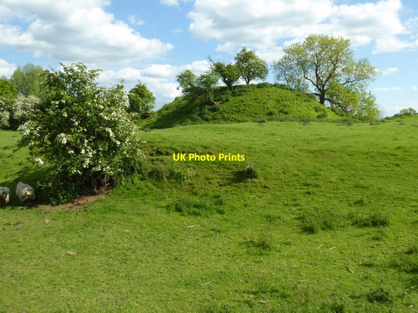 Photo 6"x4" Castle Tump, Castlemorton Castlemorton c2016