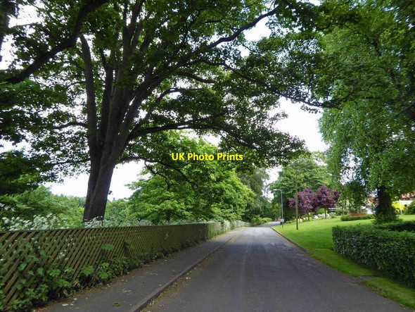 Photo 6"x4" Crowtree Lane Louth Louth\/TF3387 c2015
