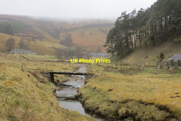 Photo 6"x4" Bridge, Glen Fiddich Glenfiddich Lodge c2015