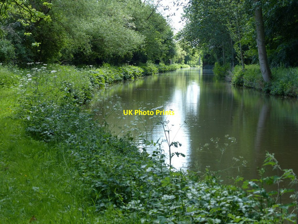 Photo 6"x4" The Oxford Canal near Kings Sutton Astrop c2015
