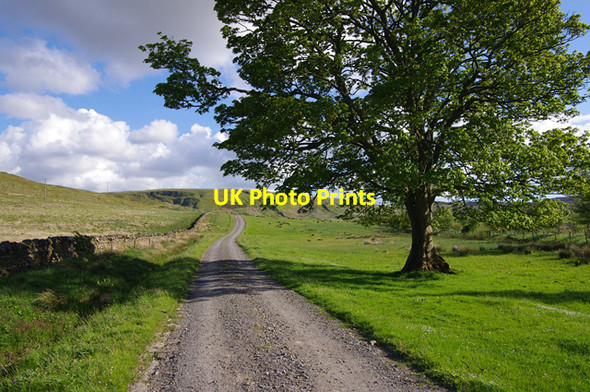Photo 6"x4" Track to Howgill Forest Head c2015