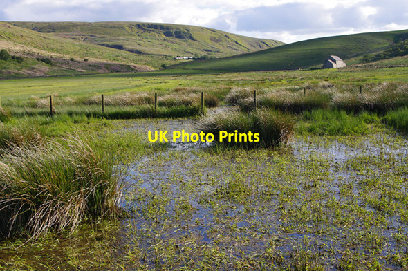 Photo 6"x4" Valley of Howgill Beck Forest Head c2015
