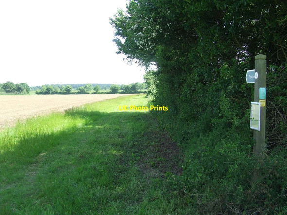 Photo 6"x4" Footpath Off Minor Road Bramfield\/TM4073 c2015