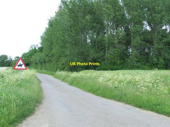 Photo 6"x4" Warning Sign On Minor Road Hemp Green c2015