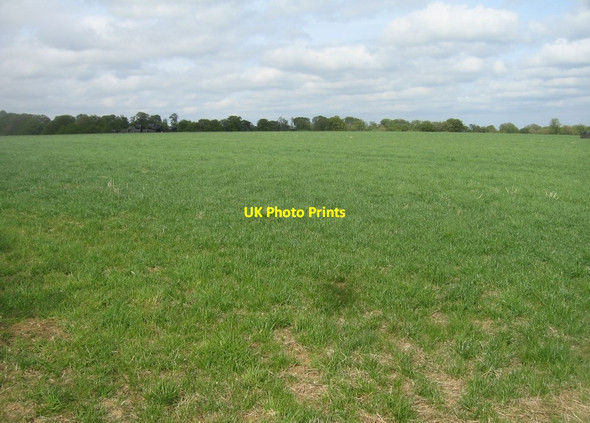 Photo 6"x4" View across Windy Field Buckskin c2015