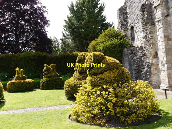 Photo 6"x4" Priory Hedges Much Wenlock c2015