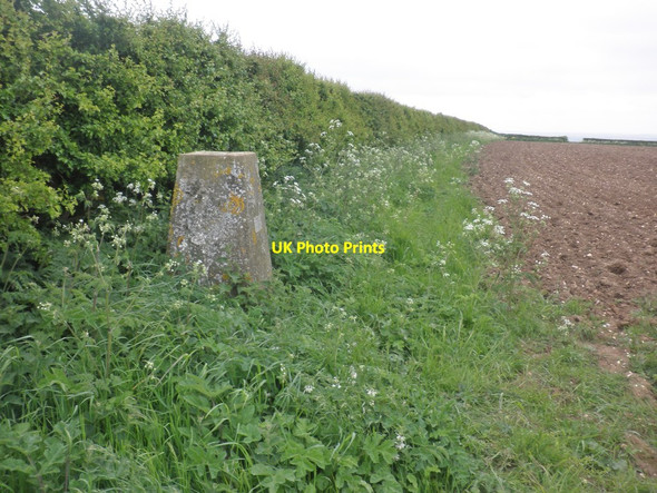 Photo 6"x4" Trig point at Normanby Top Normanby le Wold c2015