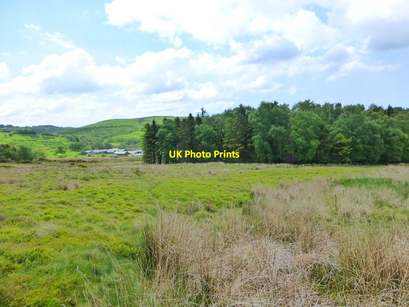Photo 6"x4" Path between Fell End Planting and Harrisend Fell Oakenclough\/SD5447 c2015