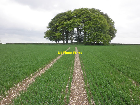 Photo 6"x4" Tumulus, Bishop Wilton Wold Painsthorpe c2015