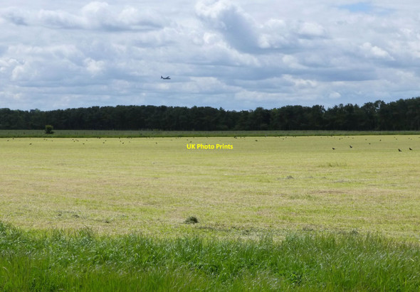 Photo 6"x4" Field cut for silage near Chibburn Mouth Hadston c2015