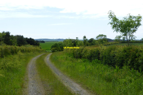 Photo 6"x4" Footpath to Chibburn Mouth Hadston c2015
