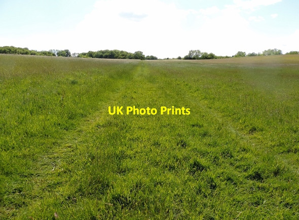 Photo 6"x4" Footpath from Brede High Woods to Hurst Lane,  Sedlescombe Sedlescombe c2015