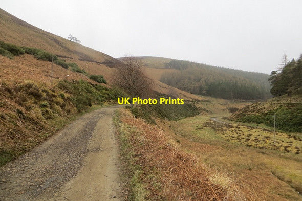 Photo 6"x4" Glenfiddich Lodge road Hill of Clais nan Earb c2015