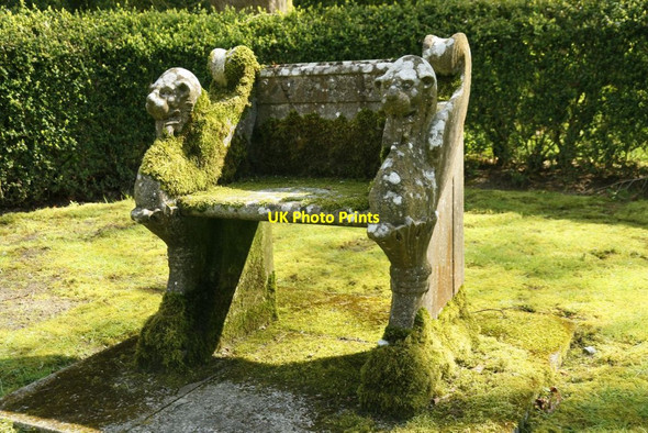 Photo 6"x4" Moss on the Seat Buscot c2015