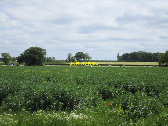Photo 6"x4" View north of Horsington Horsington\/TF1968 c2015