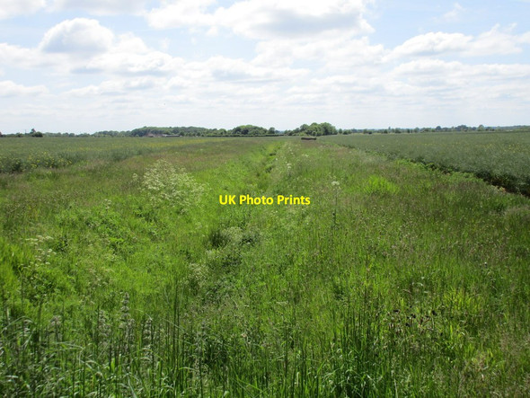 Photo 6"x4" Overgrown drain Waddingworth c2015