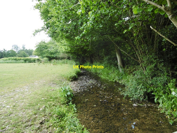 Photo 6"x4" Pilley, brook Lymington c2015