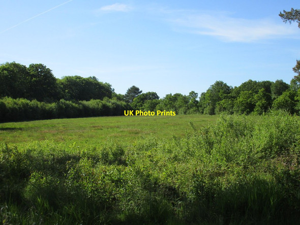 Photo 6"x4" Little Scrubbs Meadow Langton by Wragby c2015