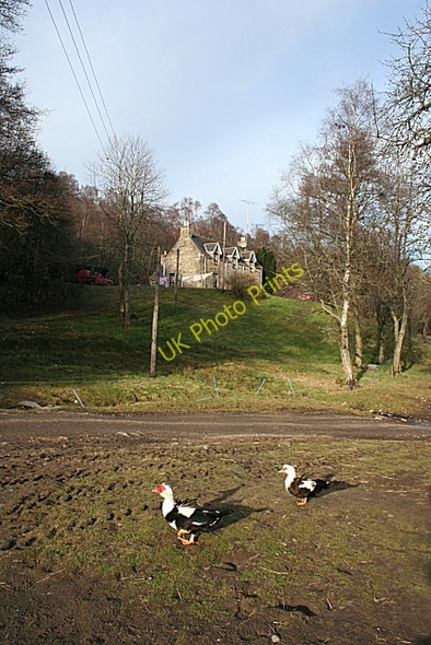 Photo 6"x4" Haugh of Kilmaichlie Cragganmore\/NJ1636 c2009