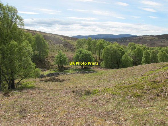 Photo 6"x4" Ruins and Trees at Altachoish Cragganmore\/NJ1636 c2015