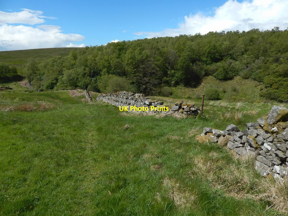 Photo 6"x4" Dry-stone wall Dumbarton c2015