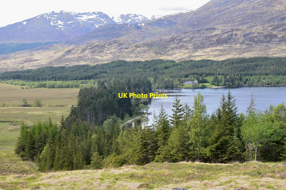 Photo 6"x4" Loch Laggan and Moy Lodge Torgulbin c2015