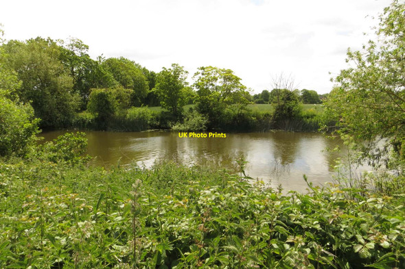 Photo 6"x4" The River Thames near Culham Appleford c2015 P1