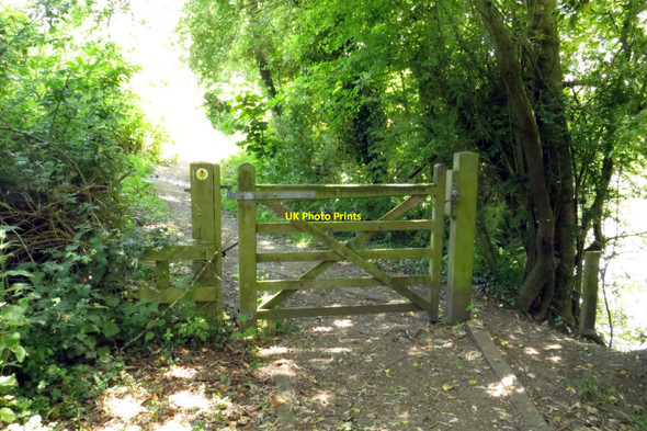 Photo 6"x4" A gate on the Thames Path Appleford c2015