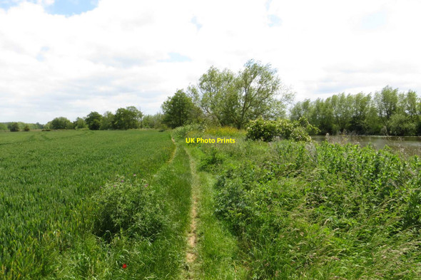 Photo 6"x4" The Thames Path to Clifton Hampden Appleford c2015