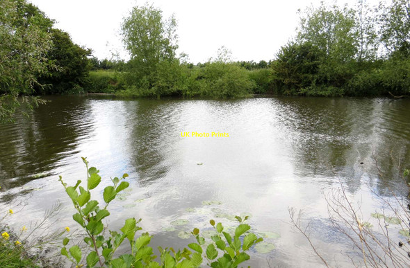 Photo 6"x4" The River Thames near Appleford Appleford c2015