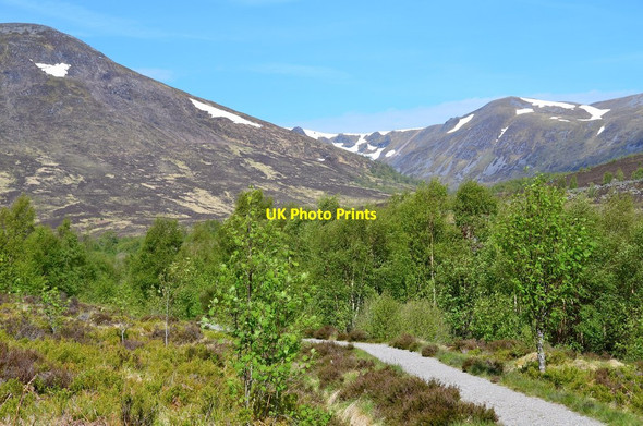 Photo 6"x4" Path above Aberarder Aberarder c2015