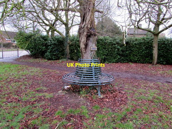 Photo 6"x4" Jubilee Seat, Much Birch Much Birch c2015