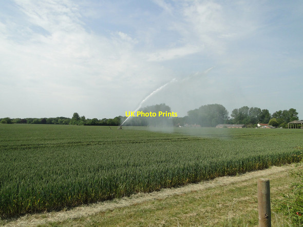 Photo 6"x4" Irrigating the wheat crop at Little London, near Northwold Little London\/TL7696 c2015