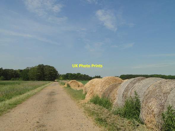 Photo 6"x4" Straw bales beside a farm track Didlington\/TL7797 c2015