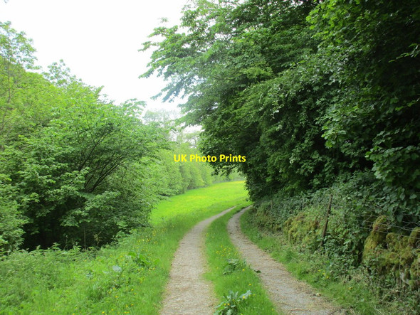 Photo 6"x4" Track to Airton sewage works Airton c2015