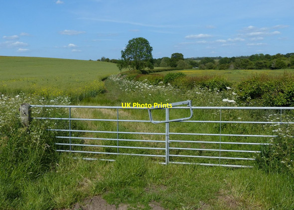 Photo 6"x4" Farmland in the Cherwell valley Tackley c2015