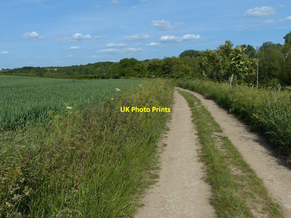 Photo 6"x4" Track to the River Cherwell and Tackley Station Enslow c2015