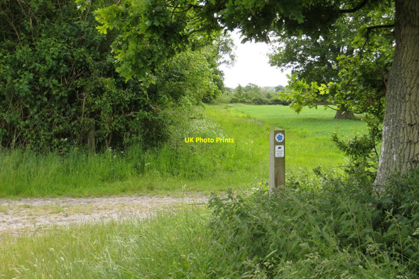 Photo 6"x4" The bridleway to Ardington Lane Ardington Wick c2015 P2