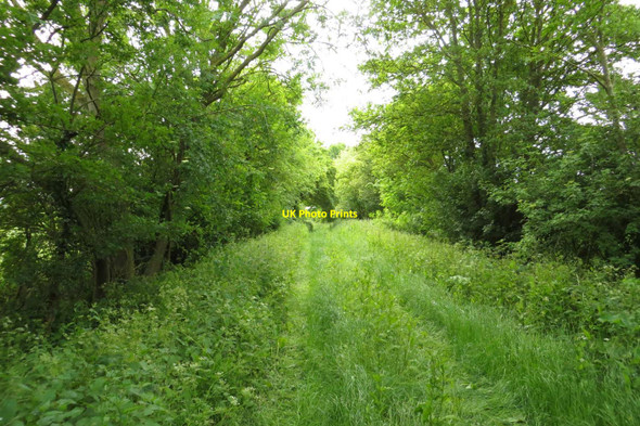 Photo 6"x4" The bridleway to Ardington Lane Ardington Wick c2015 P3