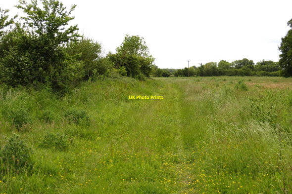 Photo 6"x4" The bridleway to Ardington Lane Ardington Wick c2015 P4