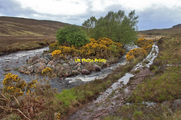 Photo 6"x4" An island in Abhainn Braigh Horrisdale Shieldaig c2015