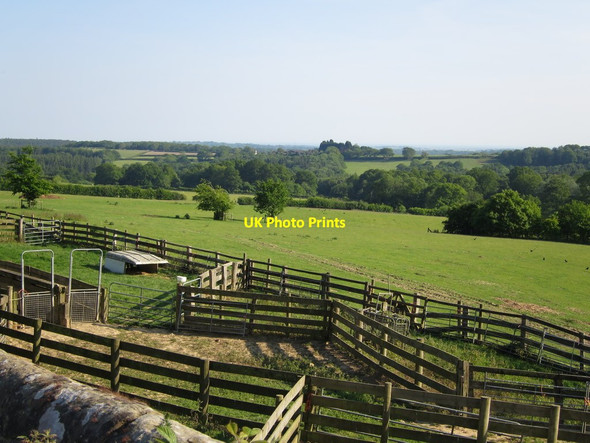 Photo 6"x4" Sheep pens near Ox Lodge Twelve Oaks\/TQ6820 c2015