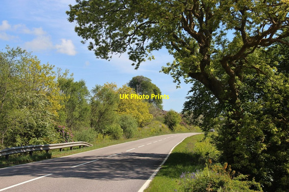 Photo 6"x4" A83 west of Birdfield Birdfield\/NR9694 c2015