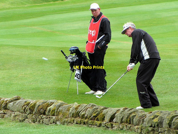 Photo 6"x4" Chip over the wall Houghton\/NZ1266 c2015