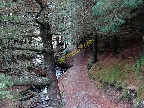 Photo 6"x4" The Severn Way Source of River Severn \/ Afon Hafren c2009