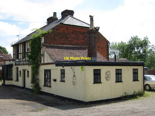 Photo 6"x4" The Hop Bine Knox Bridge c2015