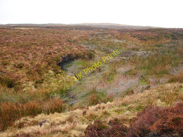 Photo 6"x4" Earlier Source of the Severn Source of River Severn \/ Afon Hafren c2009
